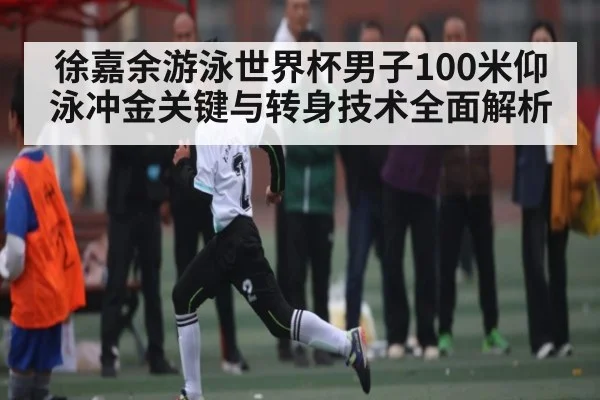 徐嘉余游泳世界杯男子100米仰泳冲金关键与转身技术全面解析