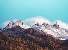 官方授权英雄联盟竞猜-【夜读】工资都发不出来了，科曼还在嚷嚷着引援